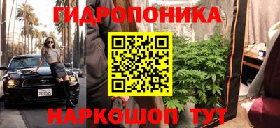 трава Лесосибирск