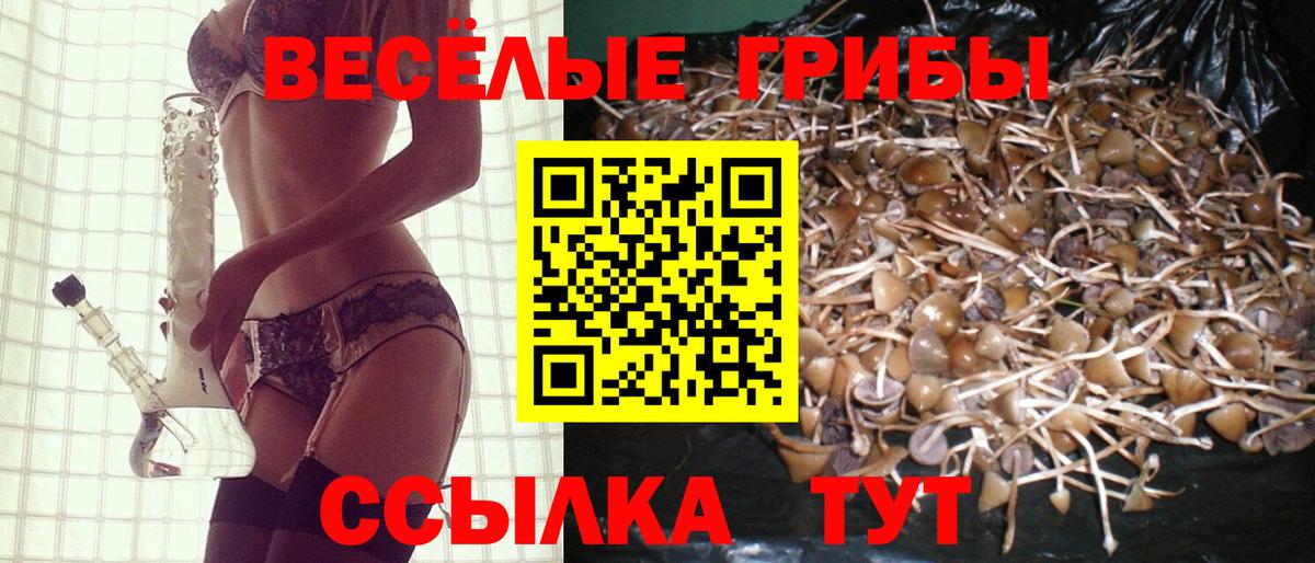 Псилоцибиновые грибы MAGIC MUSHROOMS  магазин  наркотиков  Галлюциногенные грибы Psilocybine cubensis  Ейск  Вход с VPN 